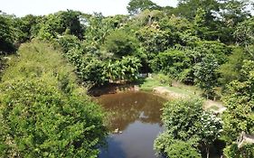 Recanto na Floresta